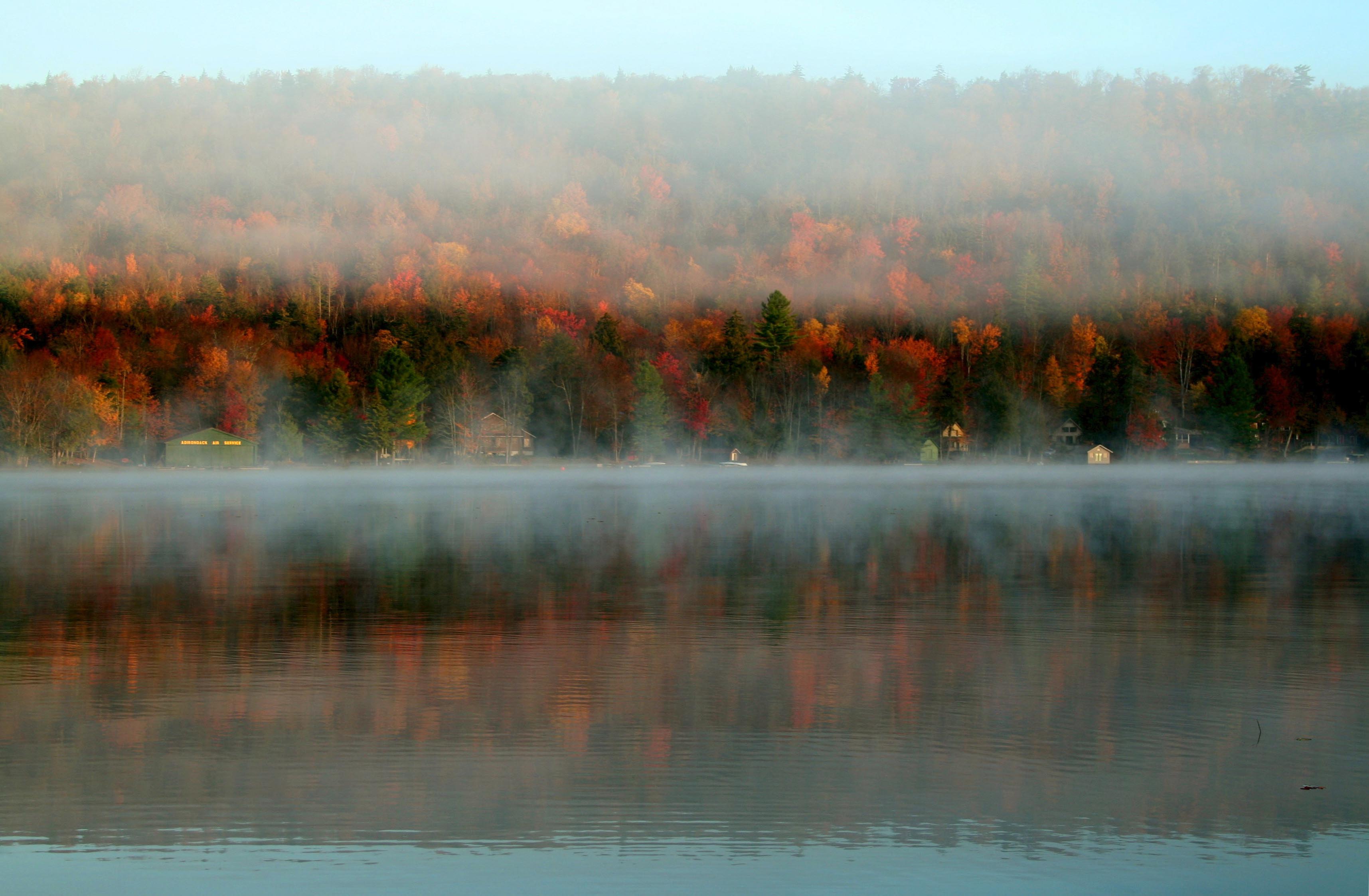 “The Clues Within an Adirondack Glade: Son to Father” by Greg Lucas