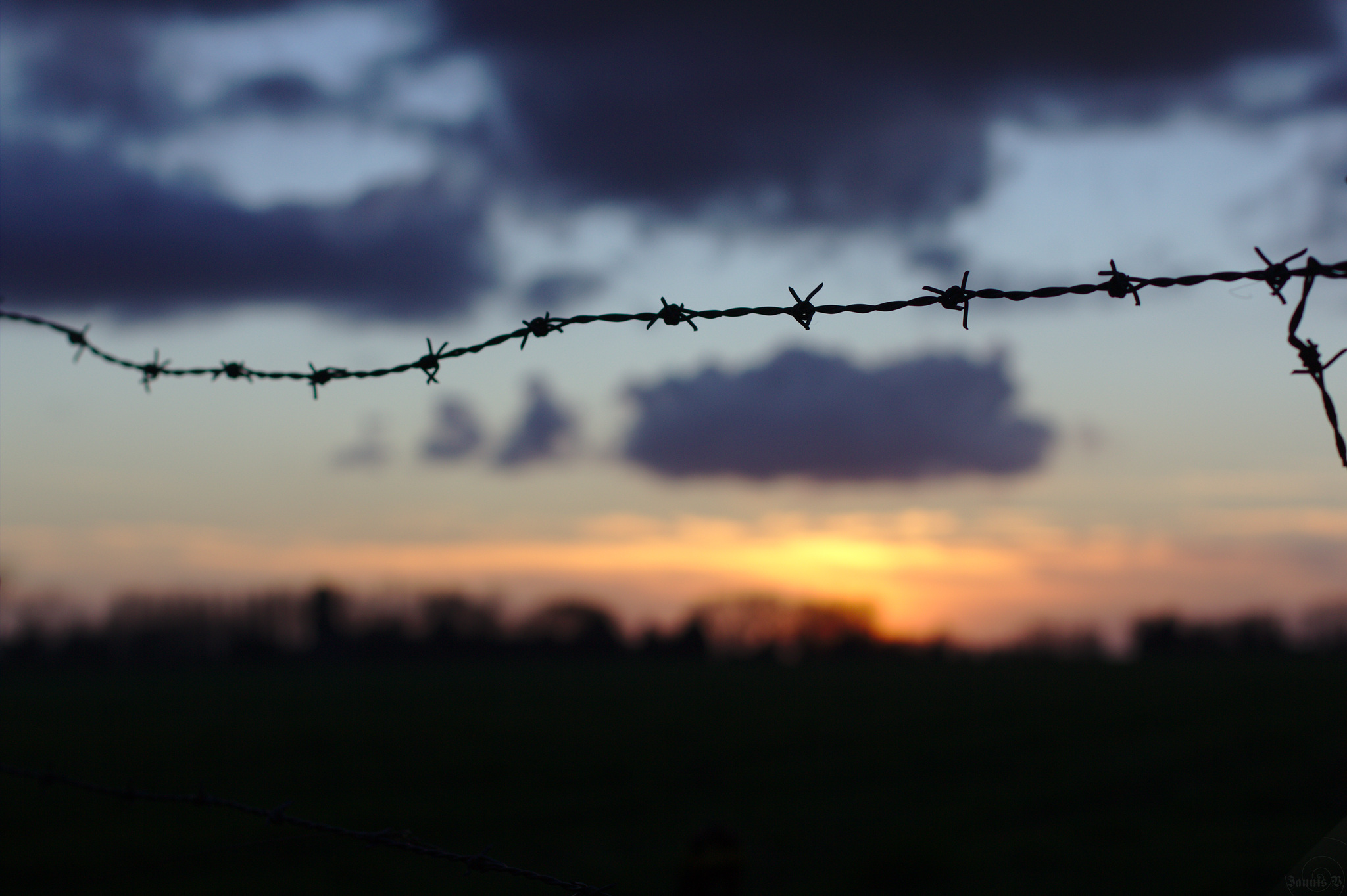 “Barbed Wires” by Ria Banerjee