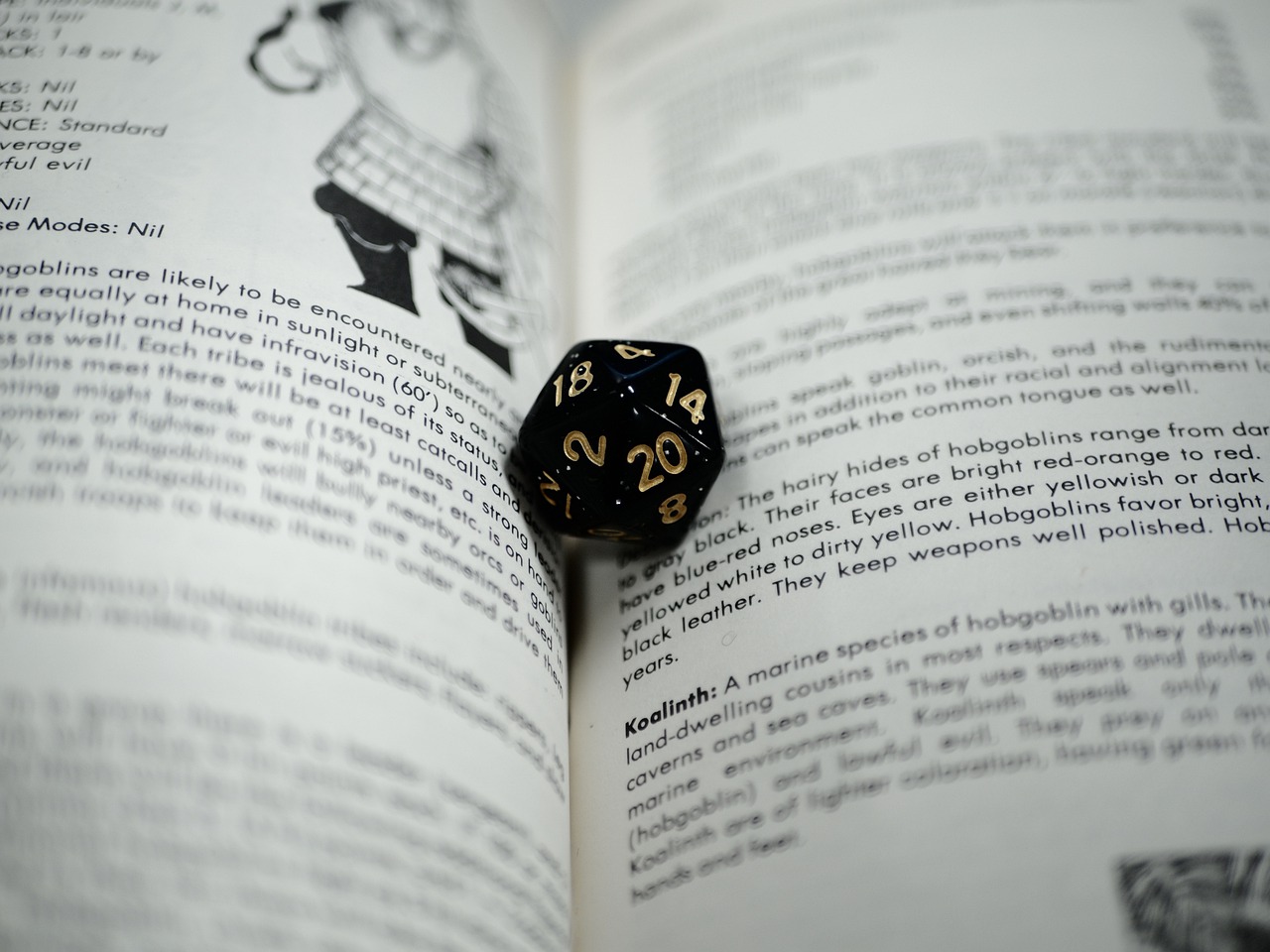 A Writer and Dungeons and Dragons by Melissa Reynolds