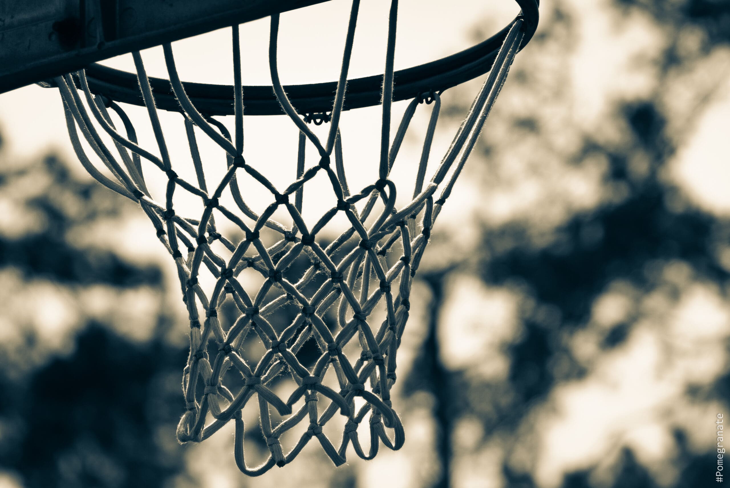 “Hoops” by Stephen Kingsnorth