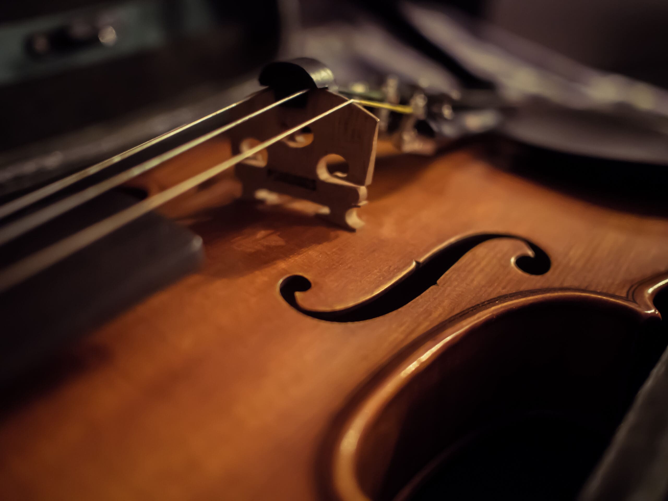 “A Case for Violins” by Frank William Finney