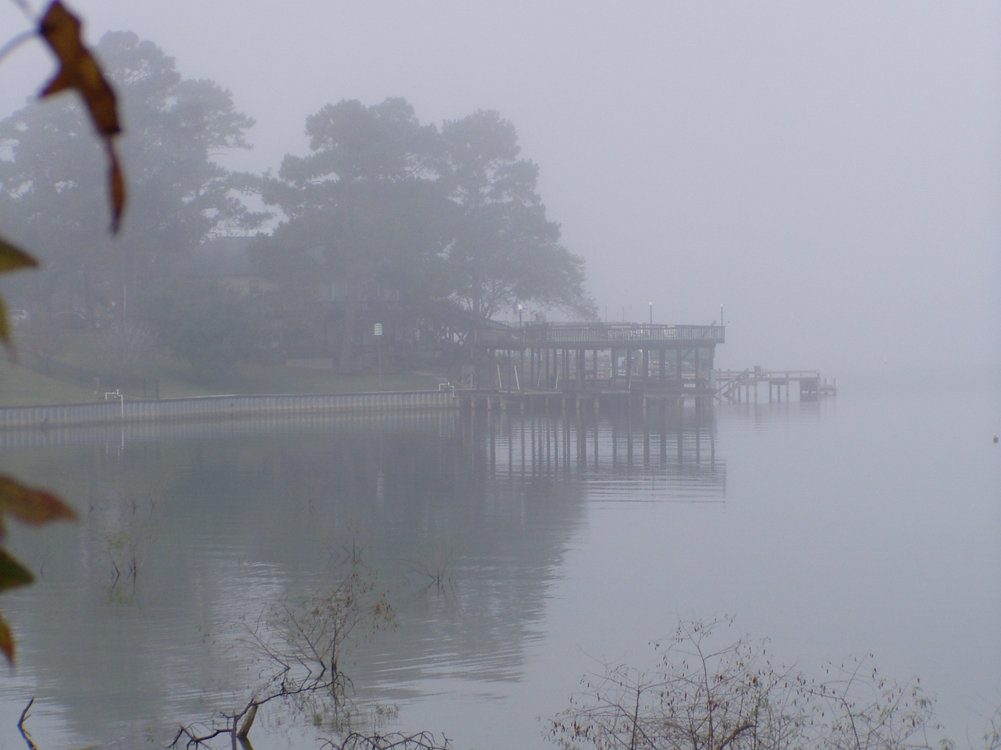 “Blueblack Pier” by Robin Wyatt Dunn