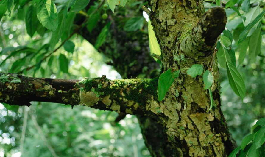 Kicker Kids by Tejal Doshi