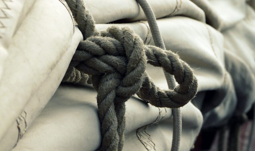 Accusations of a Half-Lover by Tejal Doshi