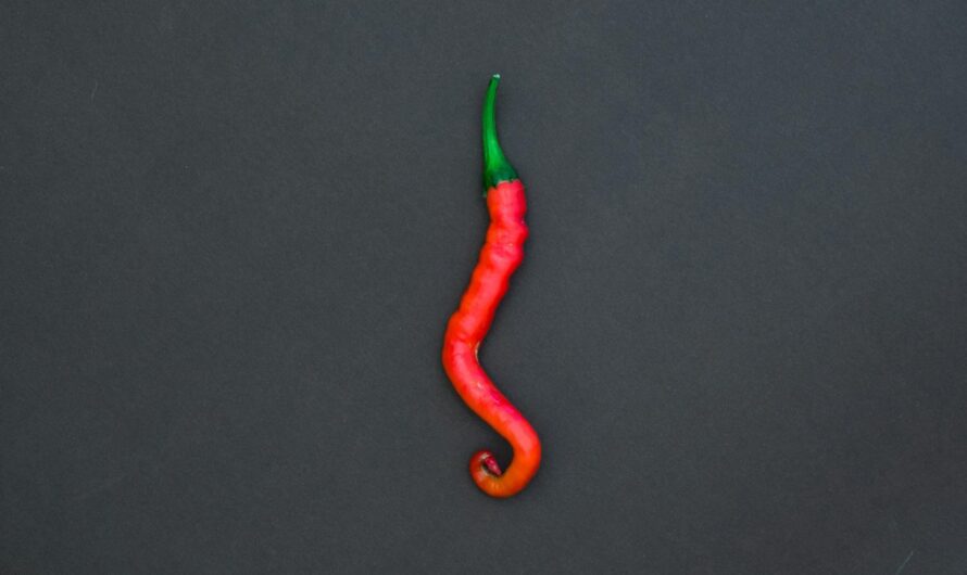 Falling in Love Inside a Stray Hot Sauce Packet by Sarp Sozdinler