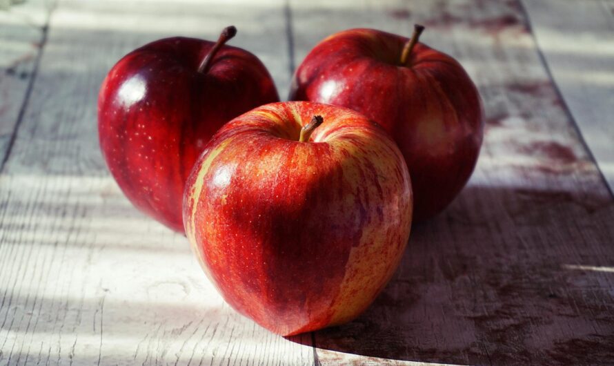 Trip to Fallsburg by Gillian Fletcher