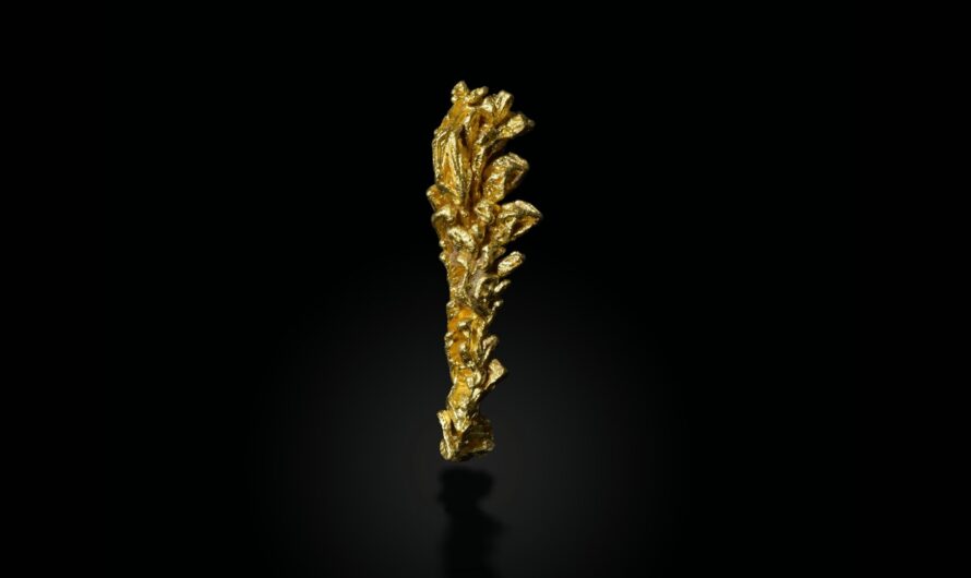 King of Pentacles by Caiti Quatmann