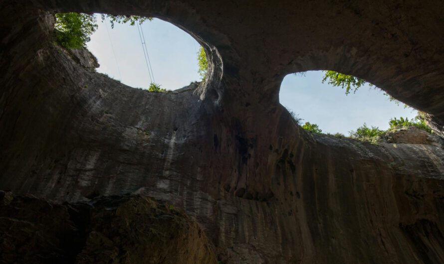 A Guide to the Heal-By-Scream Method by Chelsea Sutton