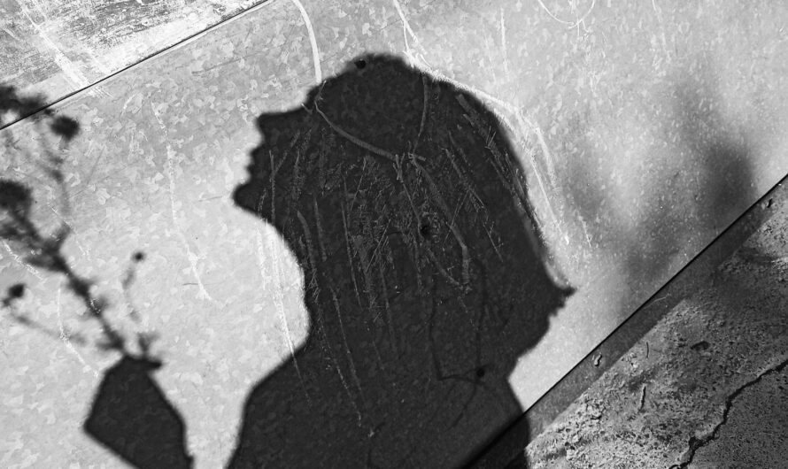 rapunzel/refugees/slavic by Linda Scheller