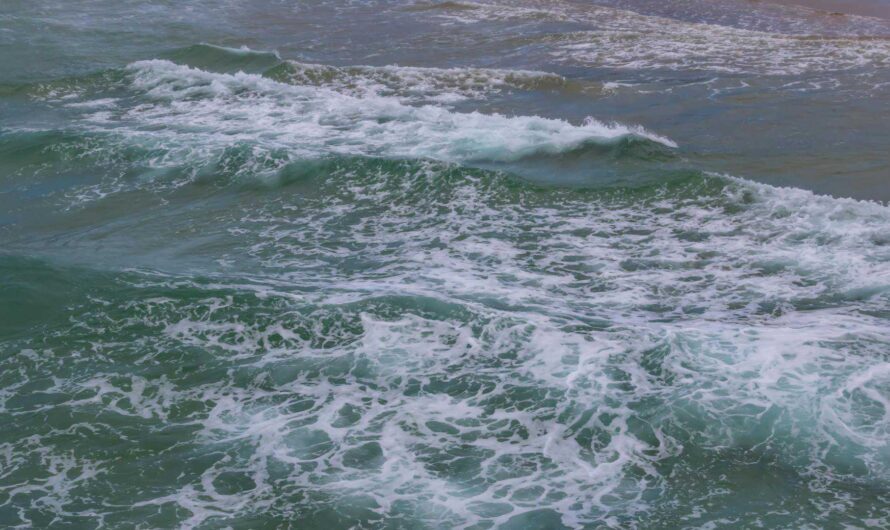 Wave Theory by Douglas Twells