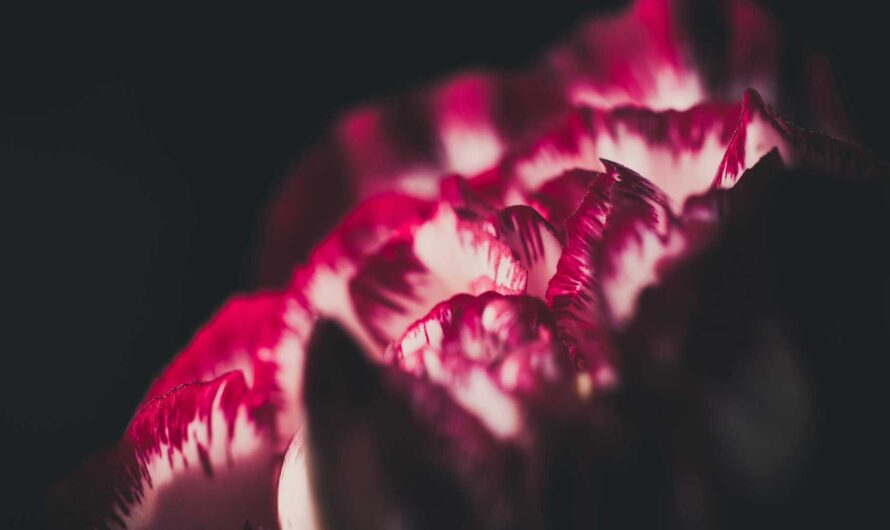 The Steady Heartbeat of The Metaworker by Melissa Reynolds