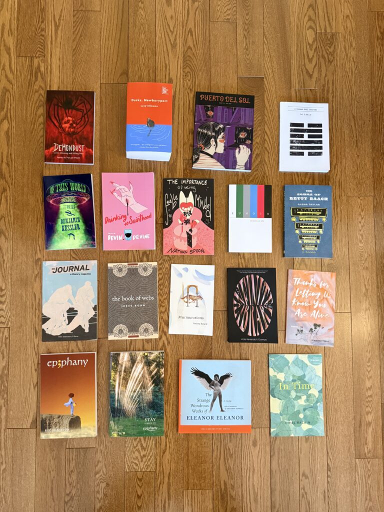 Caitlin's book haul from AWP. The books are laid out flat on a wooden floor in a grid pattern, displaying all the covers.