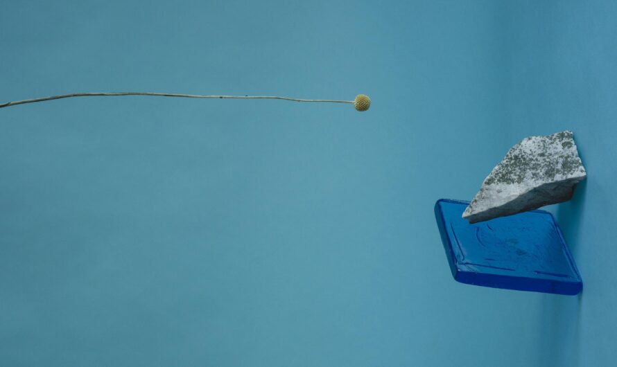 Someone I love has vanished & that is why I’m in the detergent aisle of the corner store by Rowan Tate