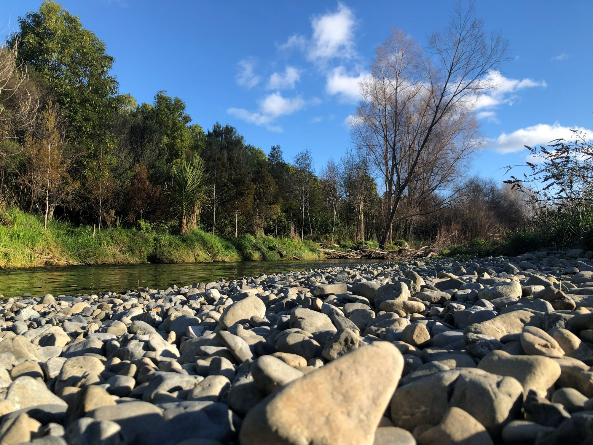A low-angle view of a rocky riverbank covered in smooth gray stones. A calm river flows past a lush, green treeline under a bright blue sky with scattered white clouds. The perspective makes the stones in the foreground appear large and detailed.
