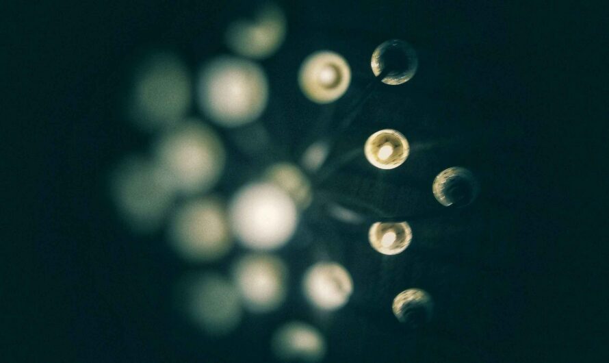 Objective Reality by Alexander Scott Pearce Baker