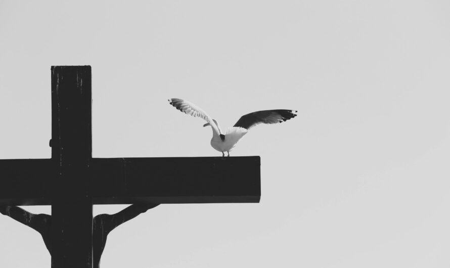 3 Micro Poems by Ken Tomaro