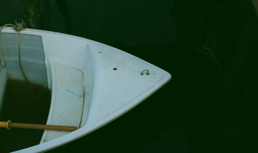 Nothing but Salt Remains by Laila Amado